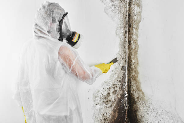 Best Mold Testing  in Hennessey, OK
