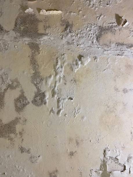 Best Mold Cleaning Services  in Hennessey, OK