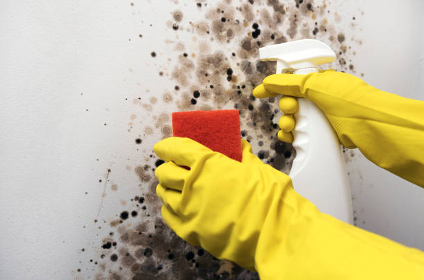  Hennessey, OK Mold Removal Pros
