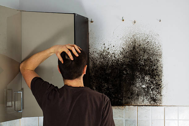 Best Crawl Space Mold Removal  in Hennessey, OK